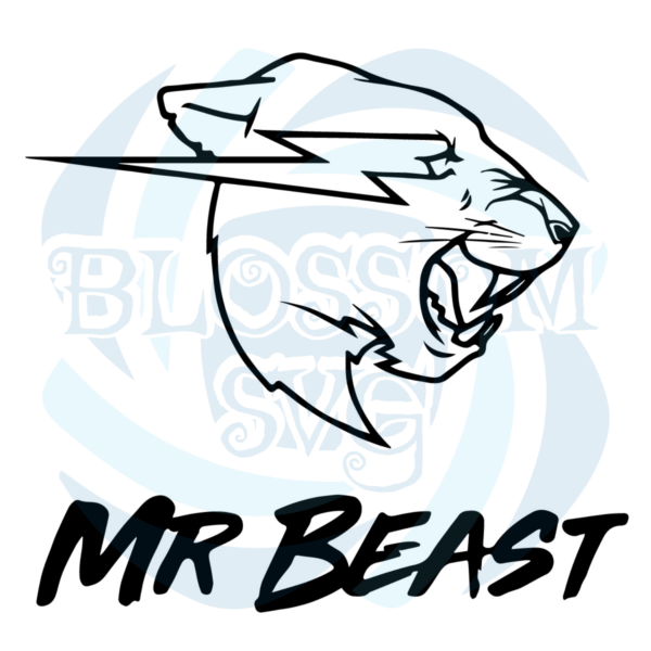 List 97+ Pictures Pictures Of Mr. Beast Latest