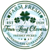 Farm Fresh Four Leaf Clovers Digital Vector Files, St Patricks Day SVG