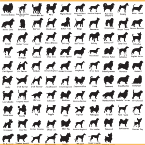 Dog Breed Bundle SVG PNG Files, Animal Svg