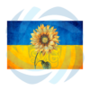 Sunflower On Ukraine Flag PNG CF240322013
