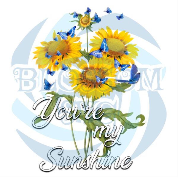 You Are My Sunshine PNG CF090422009