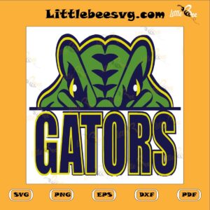Florida Gators Baseball SVG PNG DXF EPS, Florida Gators Fan