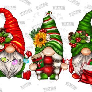 christmas-gnomes-png-gnomes-design-christmas-image-1