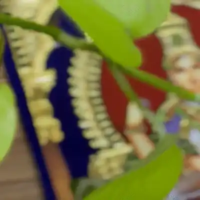 Goddess Saraswati - Online Course July 2027