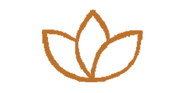 Learn with Master Artists