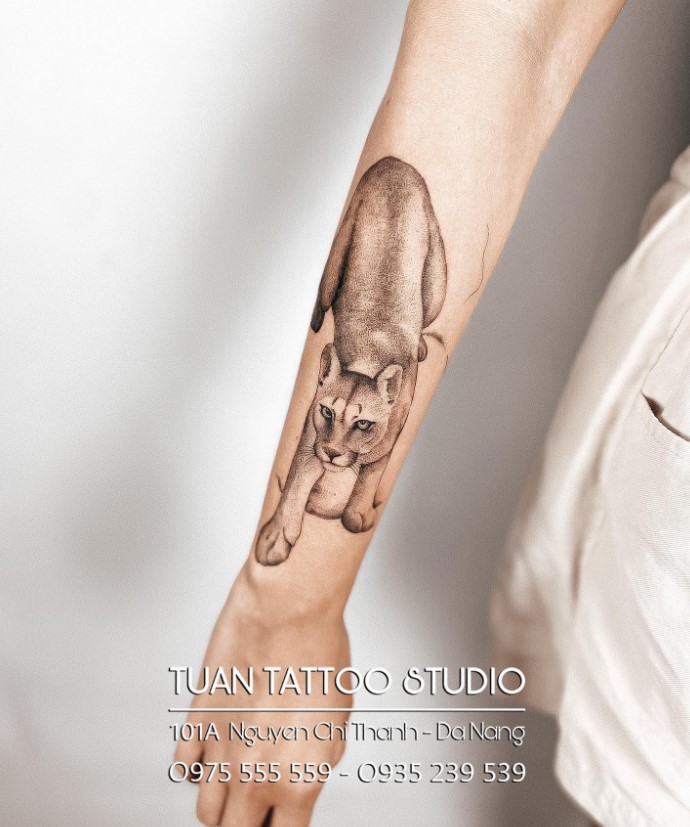 khóa học xăm hình nghệ thuật chuyên nghiệp body tattoo  TRUNG TÂM ĐÀO TẠO  THẨM MỸ CẨM ANH
