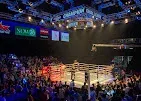 Max muay thai photo 3