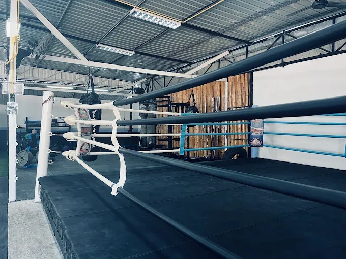 BXB Fight Lab photo 2
