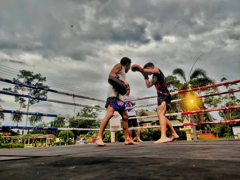 Wech Pinyo Muay thai photo 3