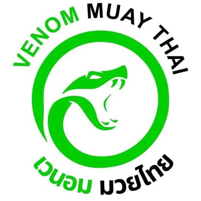 Vemon Stadium logo