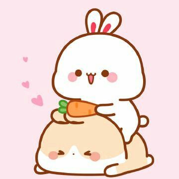 Top 99 hình avatar thỏ cute đang gây sốt trên mạng
