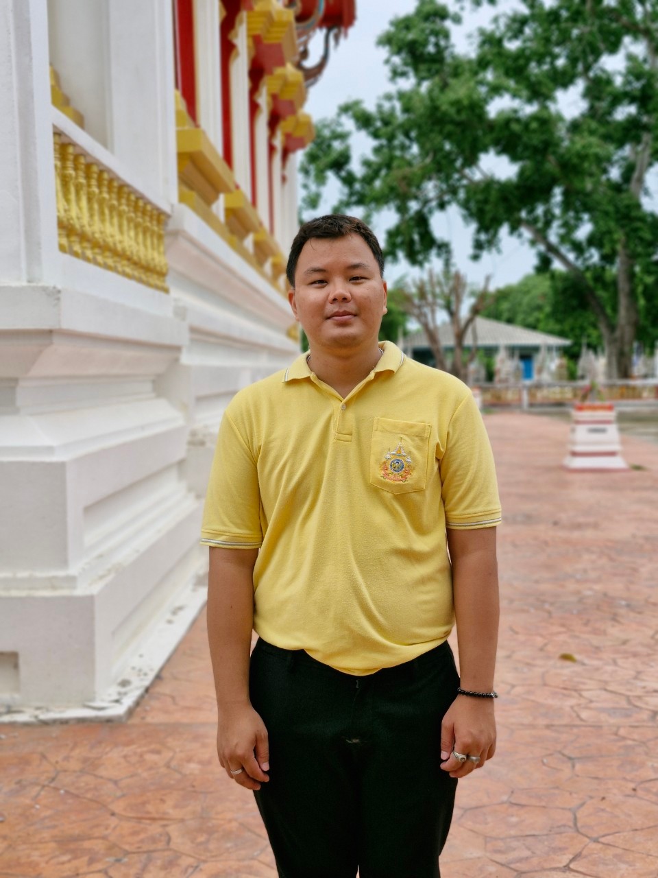 นายปฐมพงษ์ พุทธิเศวต