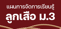 แผนการจักเรียนรู้ลูกเสือสามัญรุ่นใหญ่ ม.3