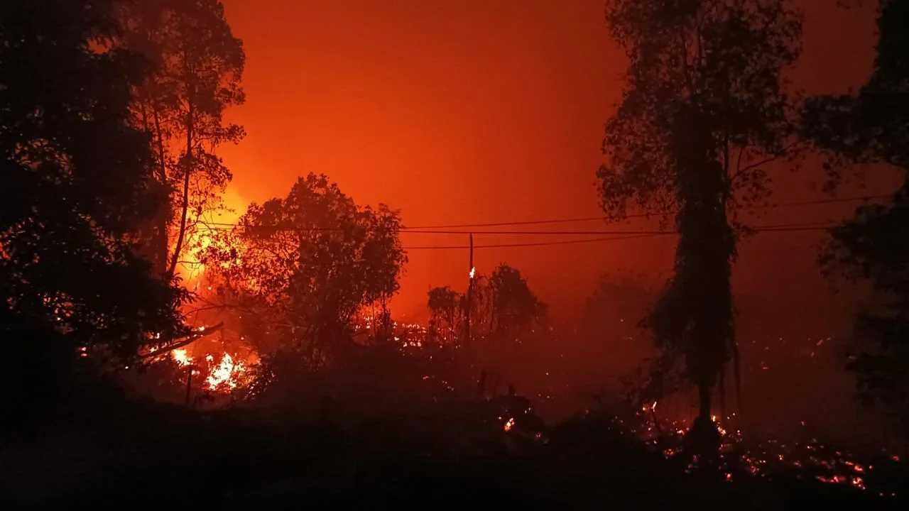 Indonesia names 11 corporate suspects in forest fire probe including three foreign firms as permit suspensions reach 32 companies