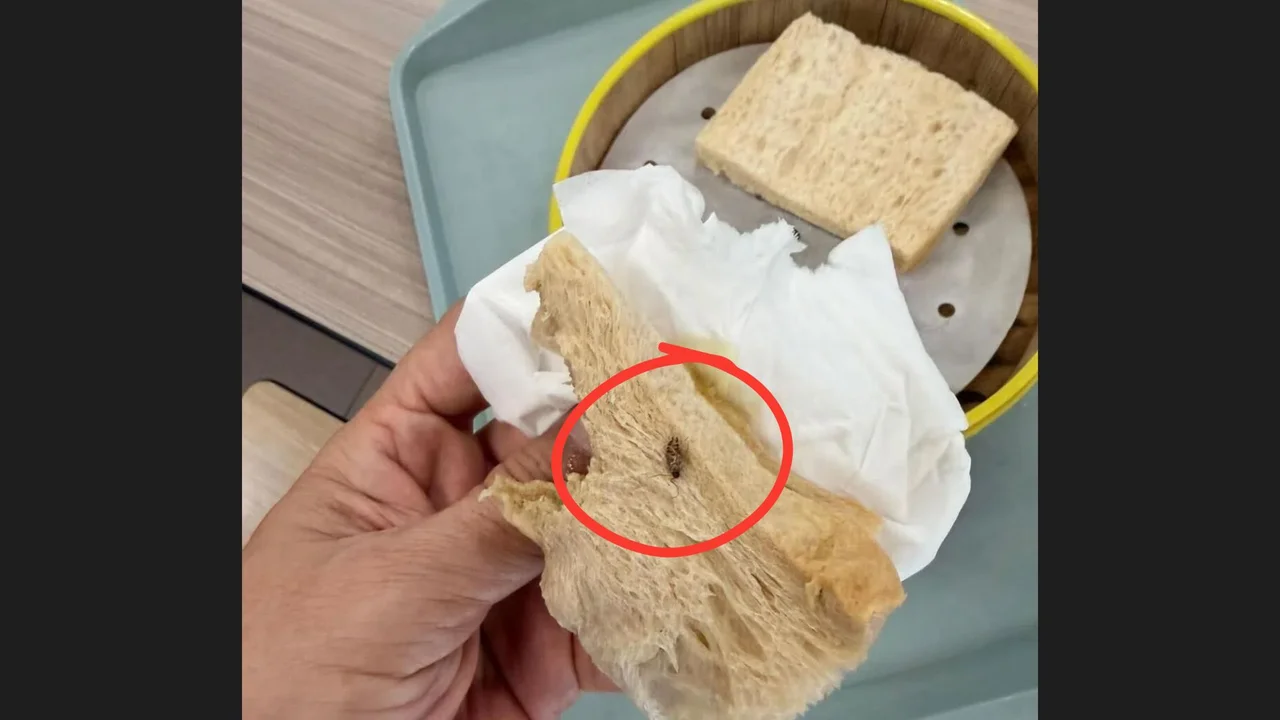 Man finds cockroach in steamed bun at hawker stall he visits twice a month; owner says checks found nothing unusual