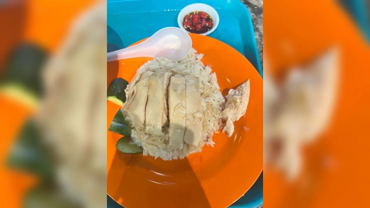 ‘This was bland’: Foreigner complains Singapore chicken rice is ‘100 times’ better in US