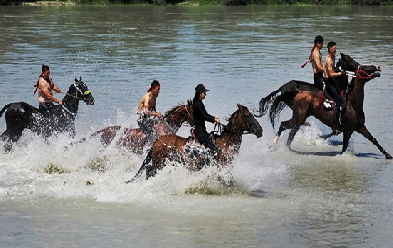 Horse Racing horse-racing