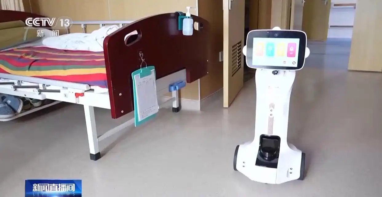 Caring Robots: A new solution for aging societies?