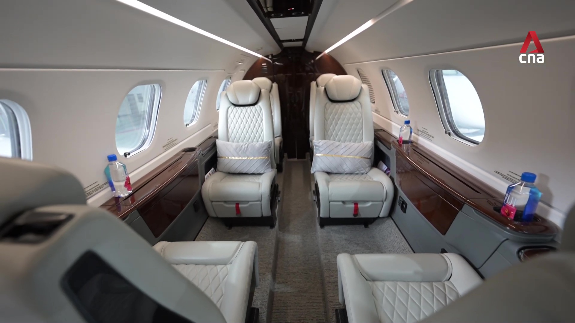 SingaPaw Air: Singapore’s first airline offering luxury flights for pets