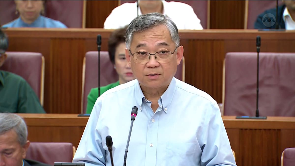 ‘Take public transport first’: Gan Kim Yong faces criticism over energy-saving tips