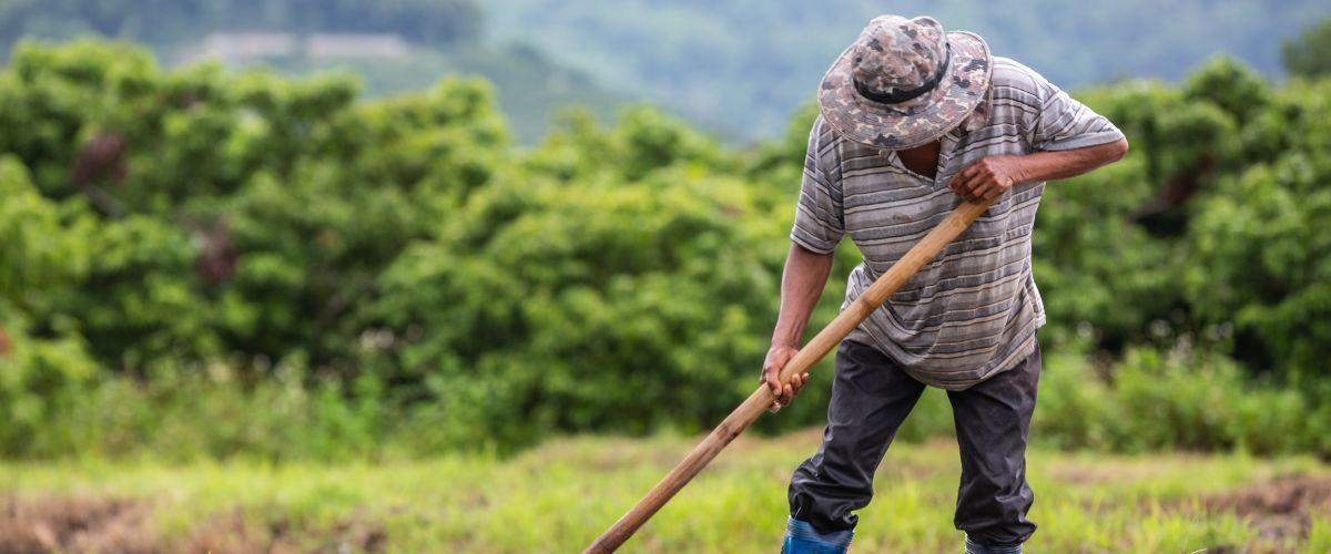 ‘There’s nothing we can do’: Filipino farmers abandon crops as fuel costs surge