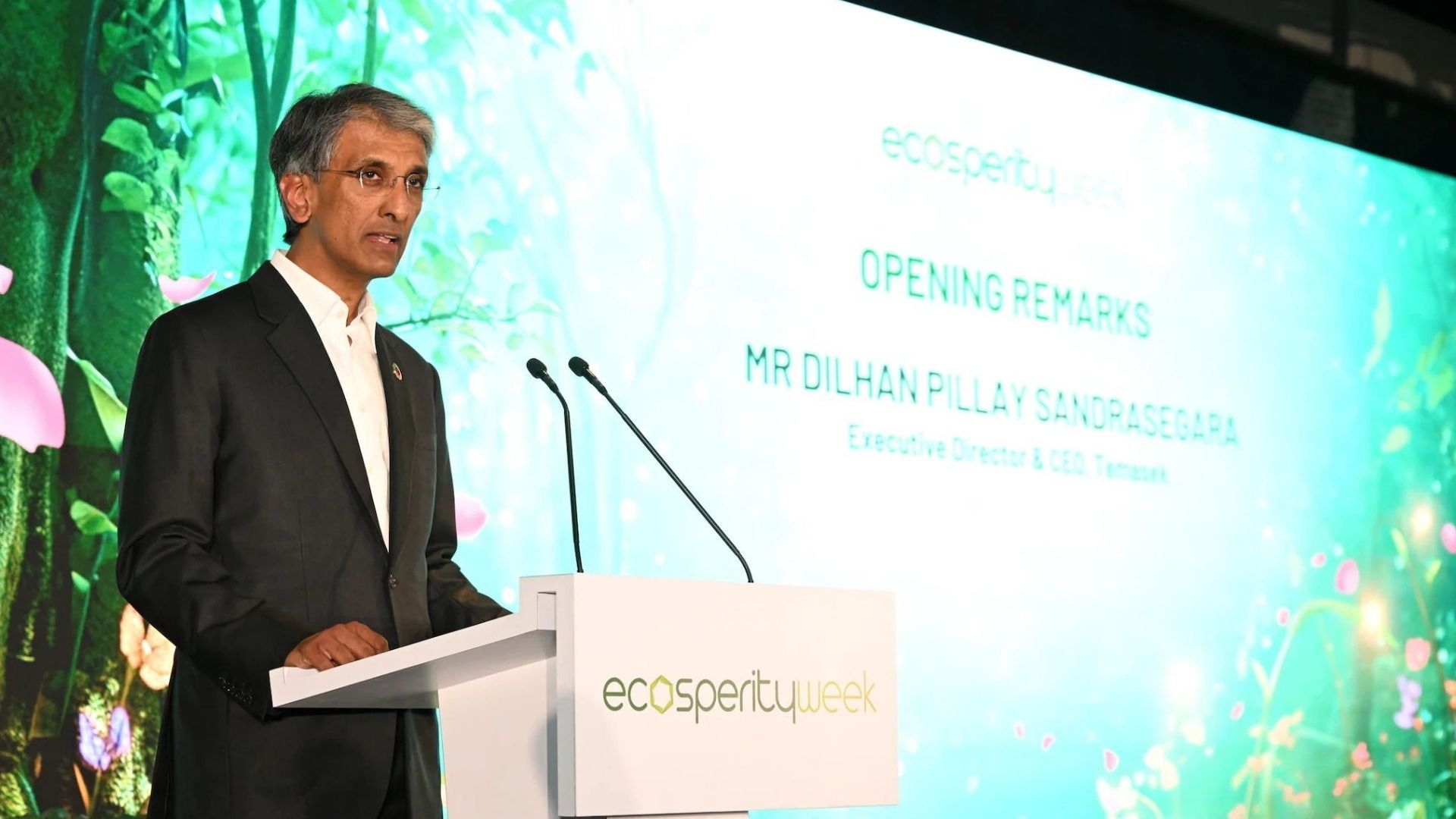 Temasek may struggle to meet 2030 emissions target amid energy transition challenges