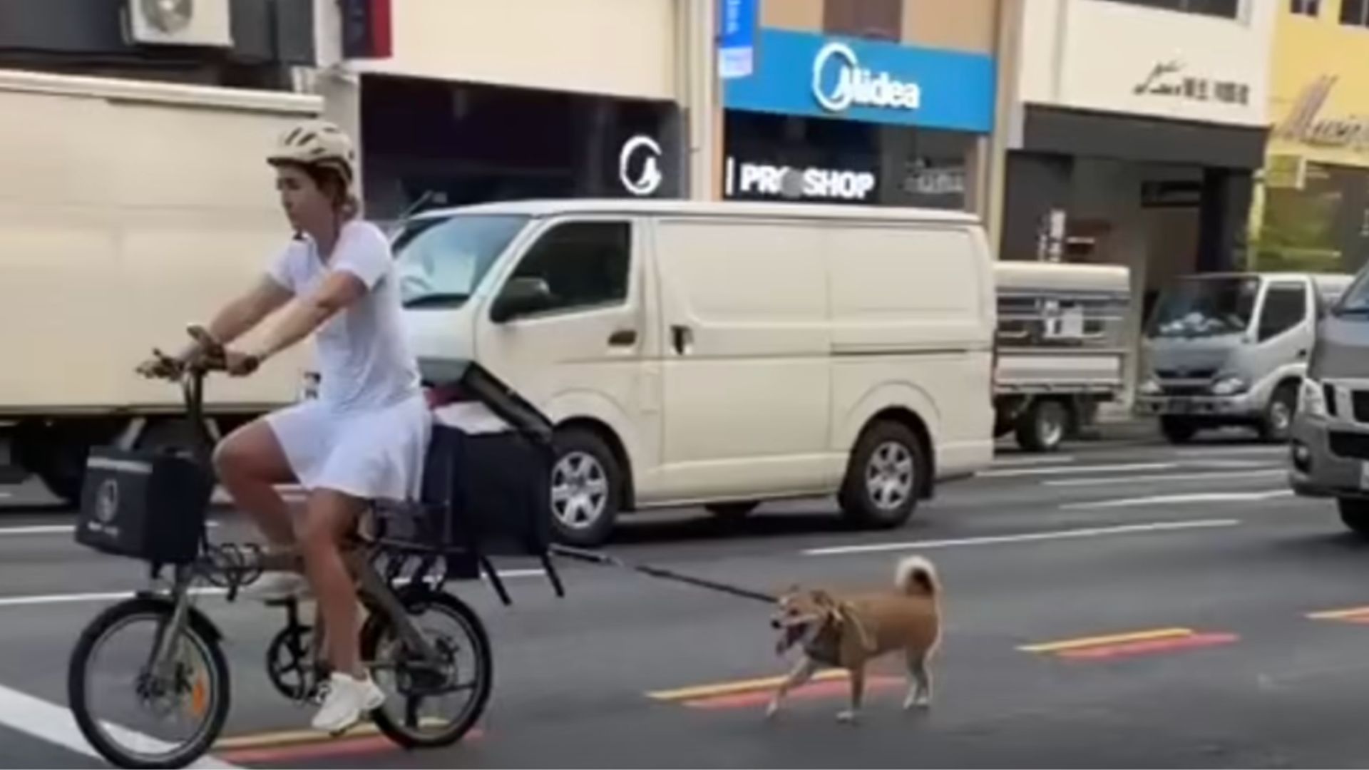 'Isn't this abuse?': Netizens appeal to identify the woman riding a ...