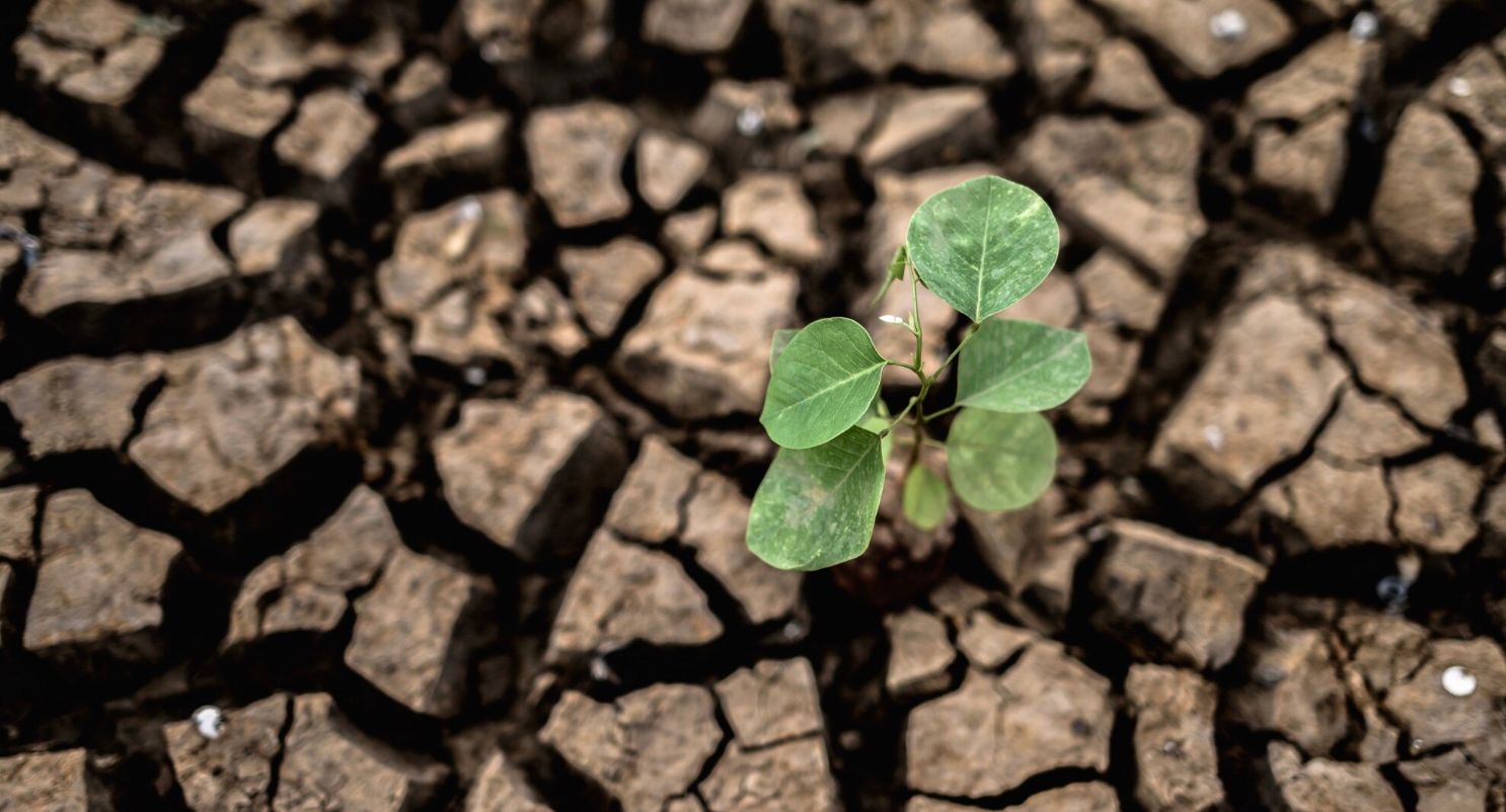 NUS professor warns Super El Niño could deepen Asia’s energy and economic woes