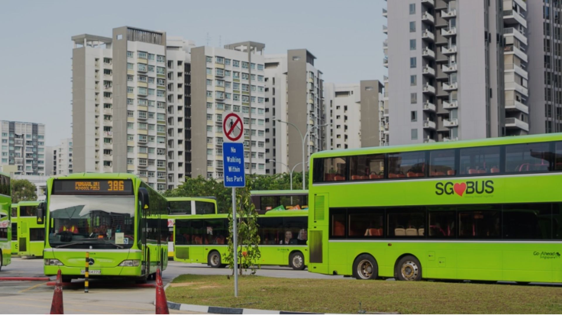 ‘They deserve respect’: Go-Ahead Singapore speaks out after bus captain allegedly assaulted