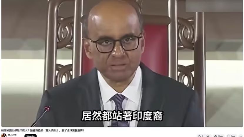 Video screenshot depicting President Tharman Shanmugaratnam as over-representation of Indians in Singapore’s government