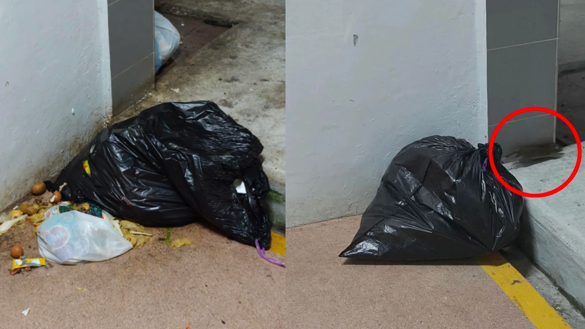Mystery man leaves trash near the garbage bin, causing infes