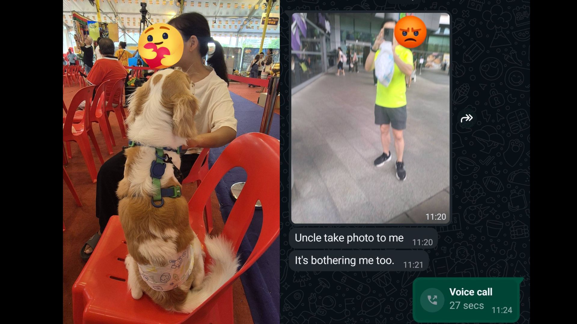 Man yelled at helper about dog sticking out his tongue, helper cries after man took photo without consent