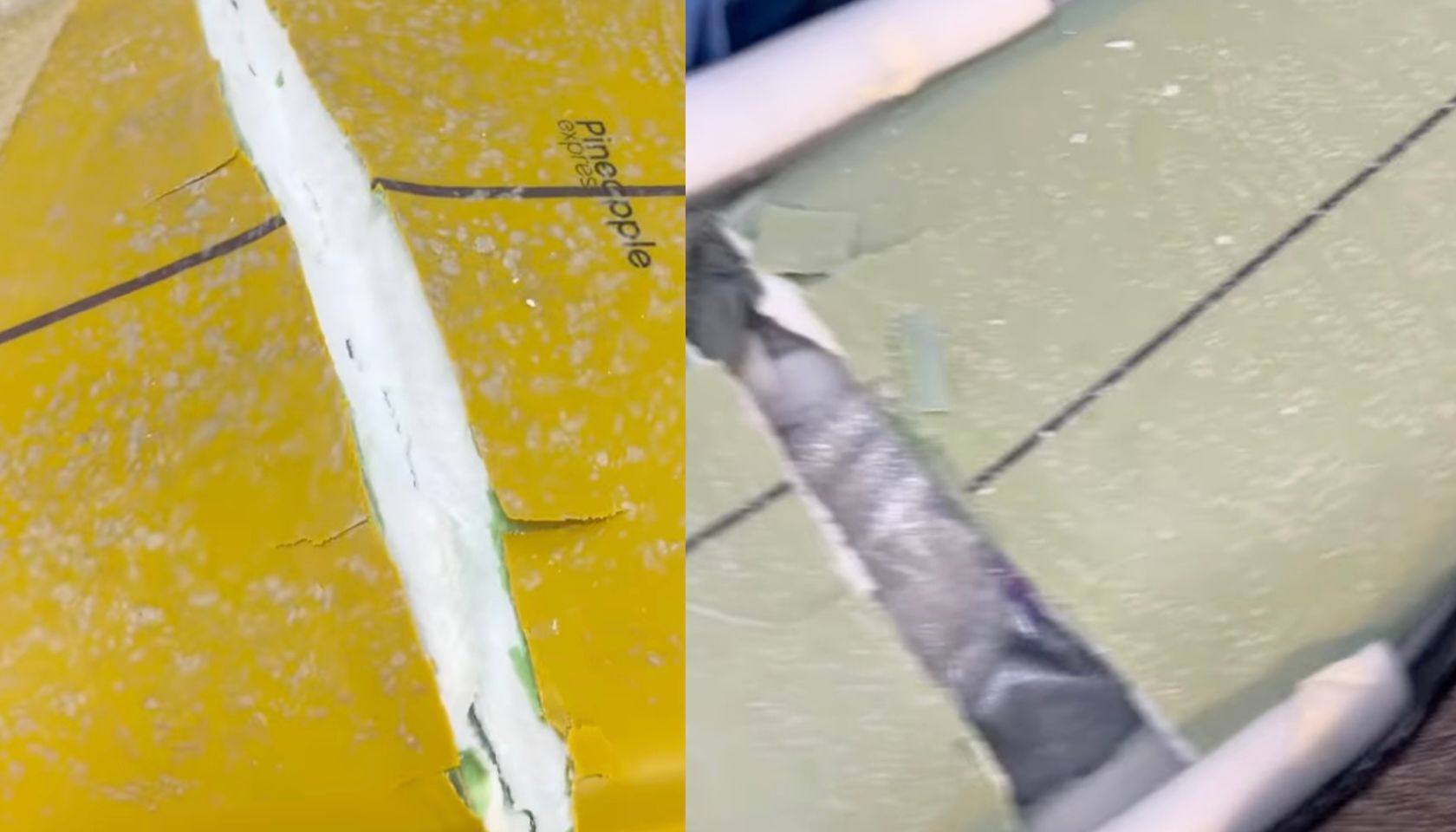 Woman says Scoot denied compensation after surfboards were allegedly broken in transit