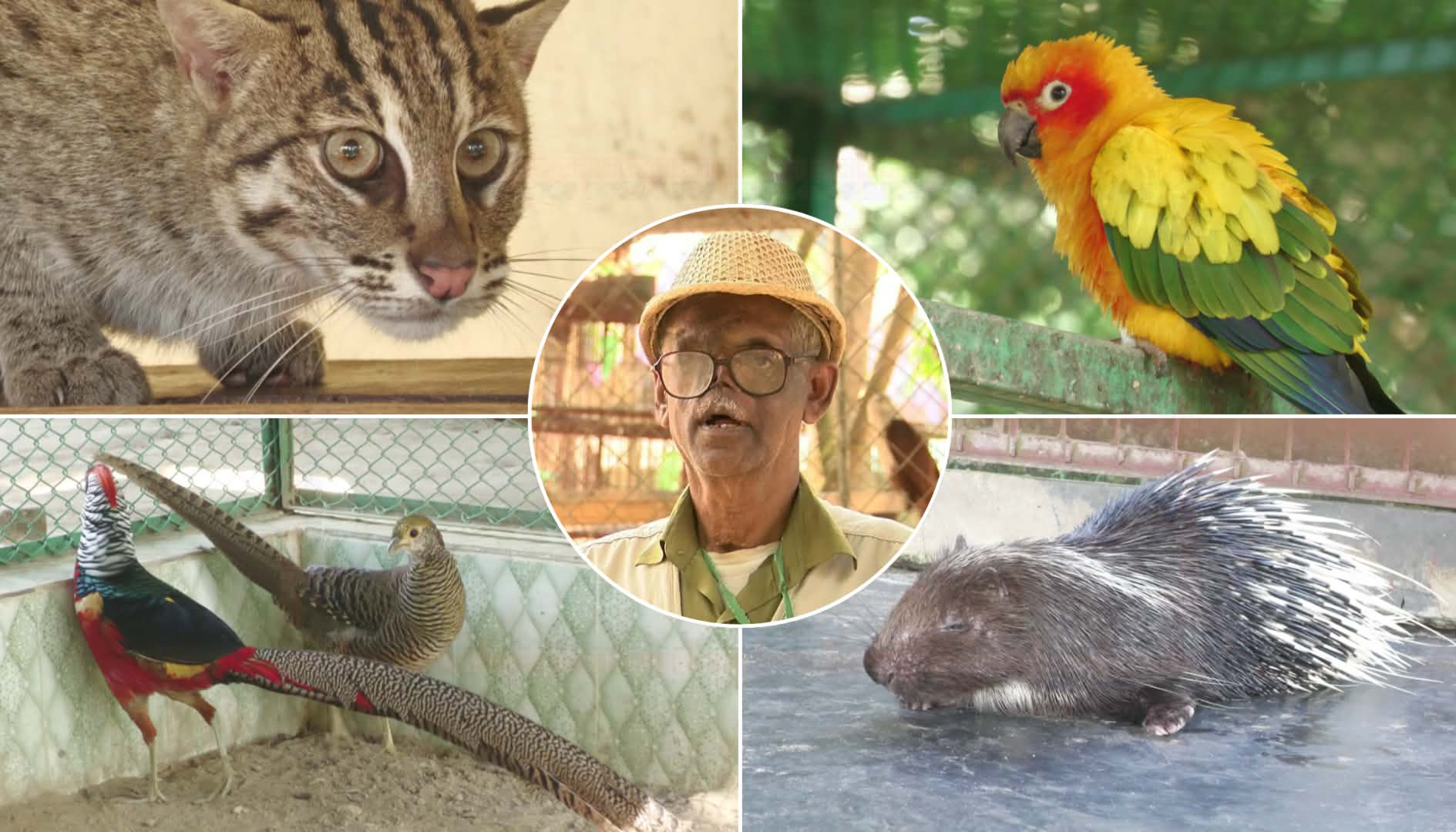 From Hunter to Guardian: The Extraordinary Life of Sitesh Ranjan Deb, Bangladesh's Relentless Champion of Wildlife