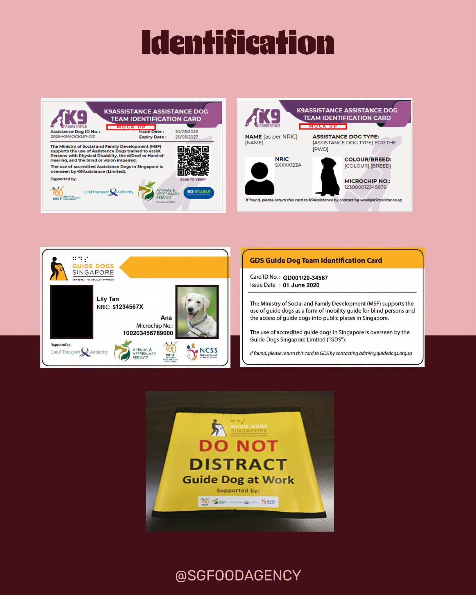Guide Dogs ID