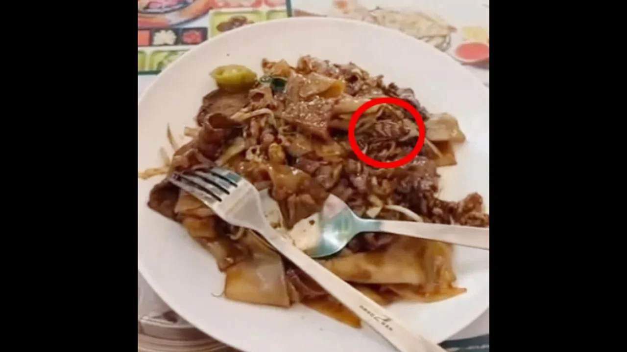 Two weeks after allegedly finding cockroach in meal, customer demands S$5,000 from restaurant
