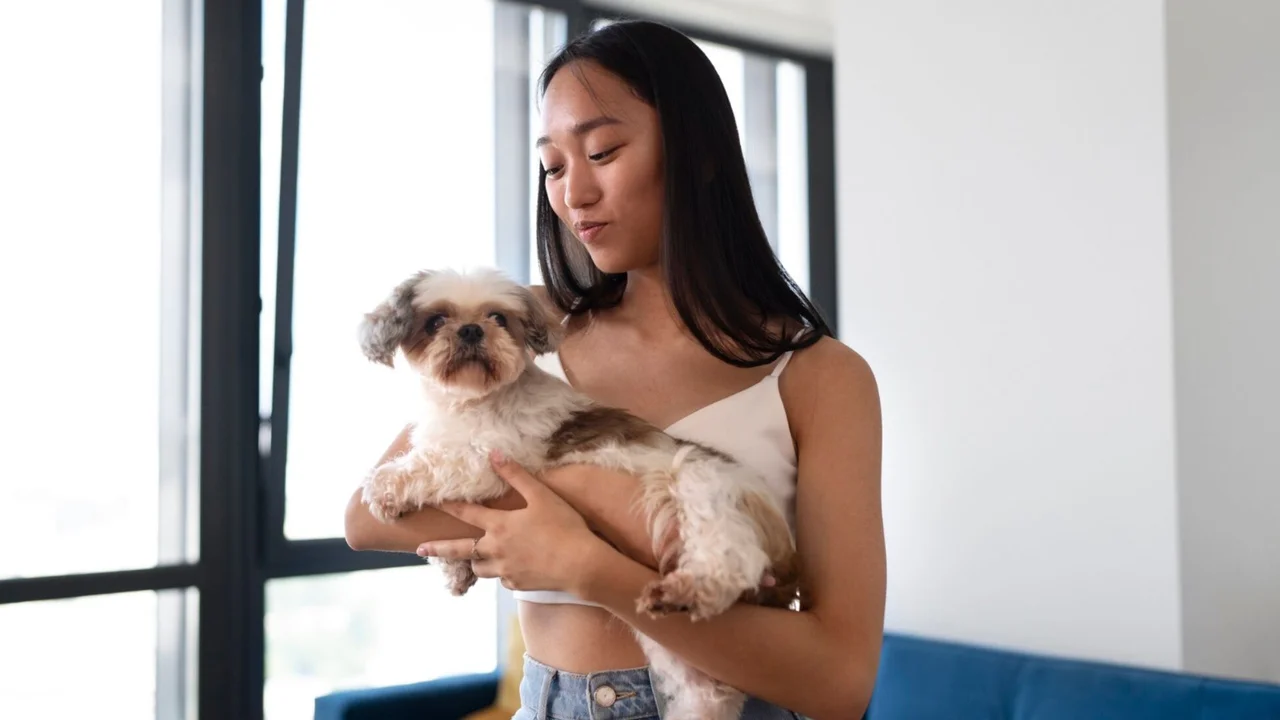 Getting a dog in Singapore? Netizens warn of $16k medical bills and a 15-year commitment