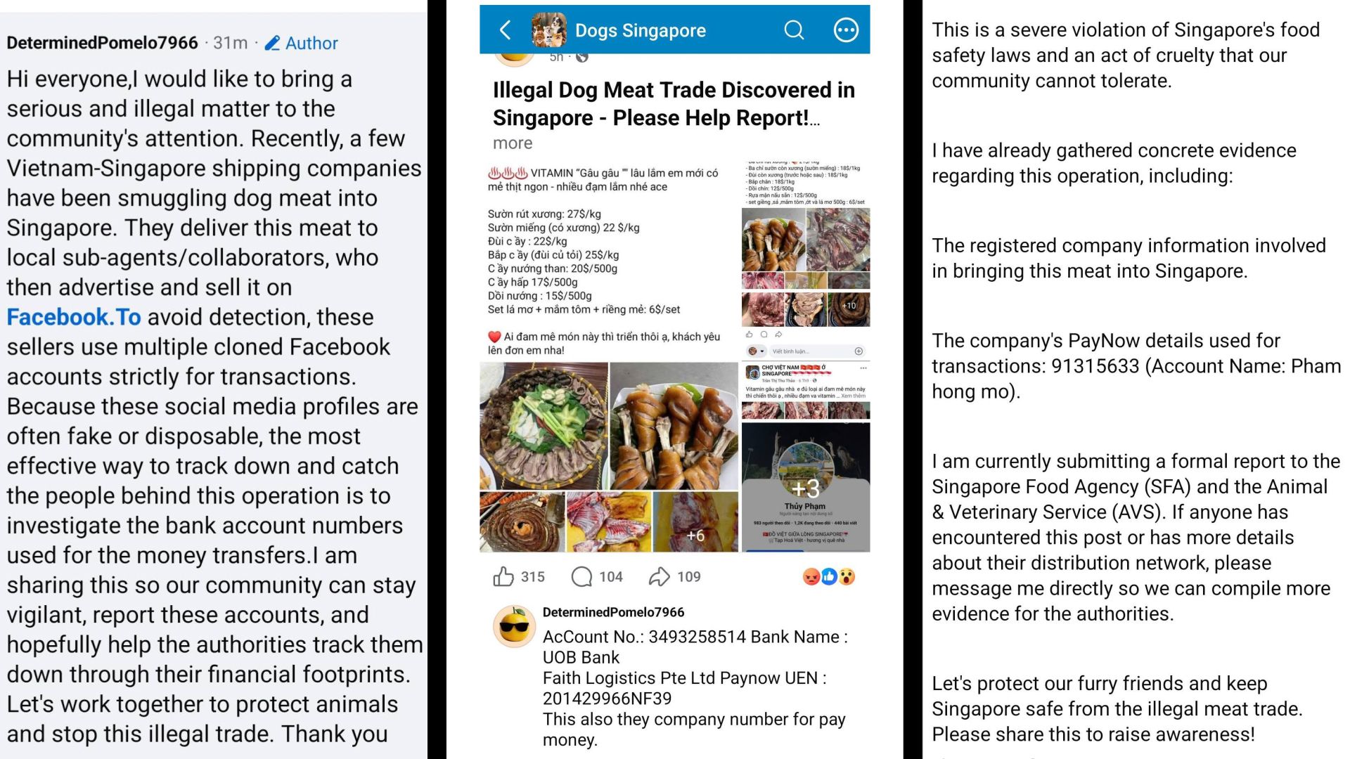 ‘SFA has not approved any source of dog meat’ — Singapore Food Agency is investigating alleged illegal sale of dog meat in SG