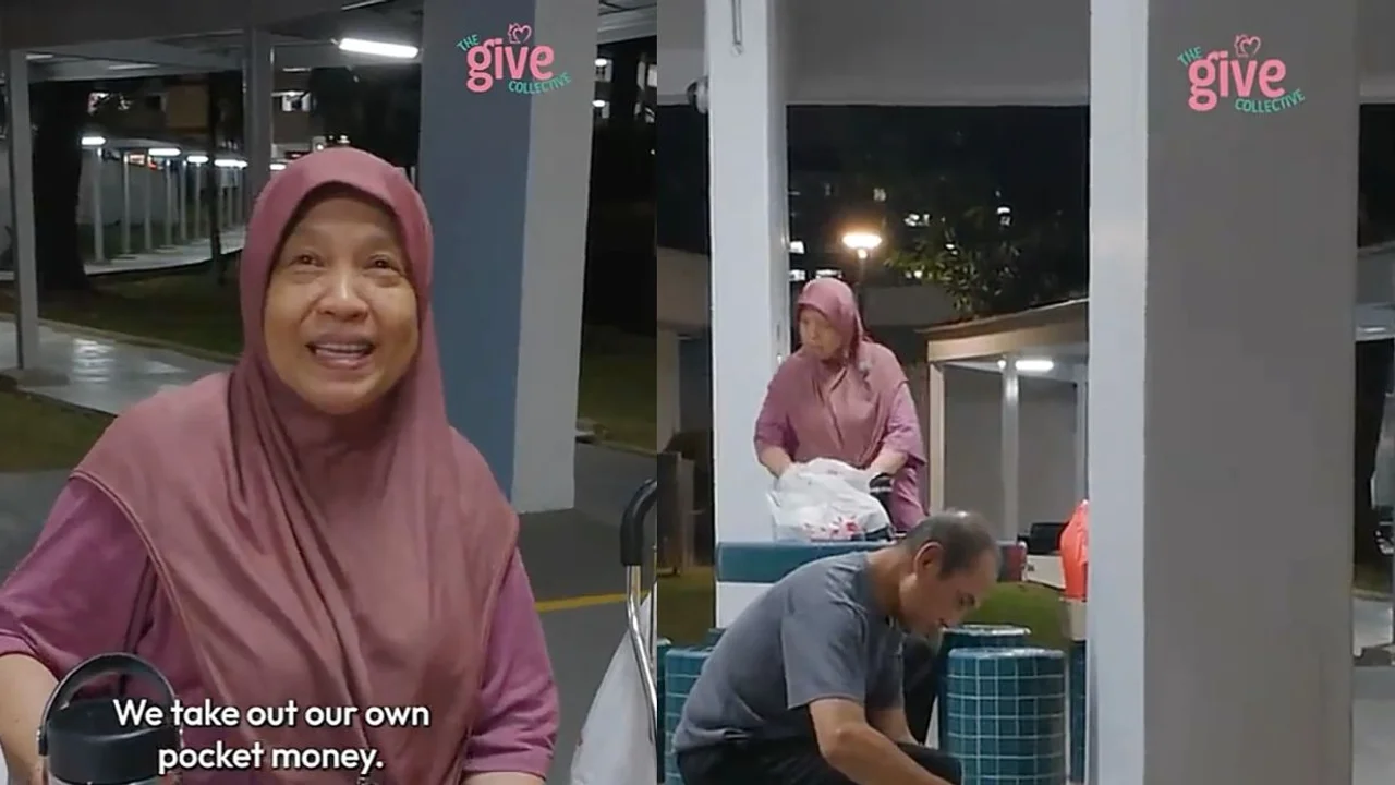 ‘They were waiting for me’: Singapore woman and husband who don’t like cats keeps feeding strays for 15 years
