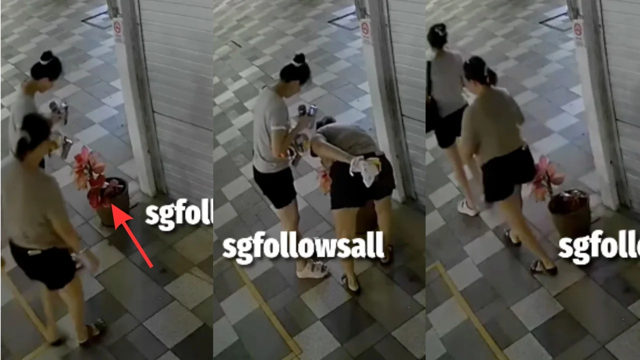 2 women seen cutting plant grown for months by Singapore shop owner; daughter laments lack of respect