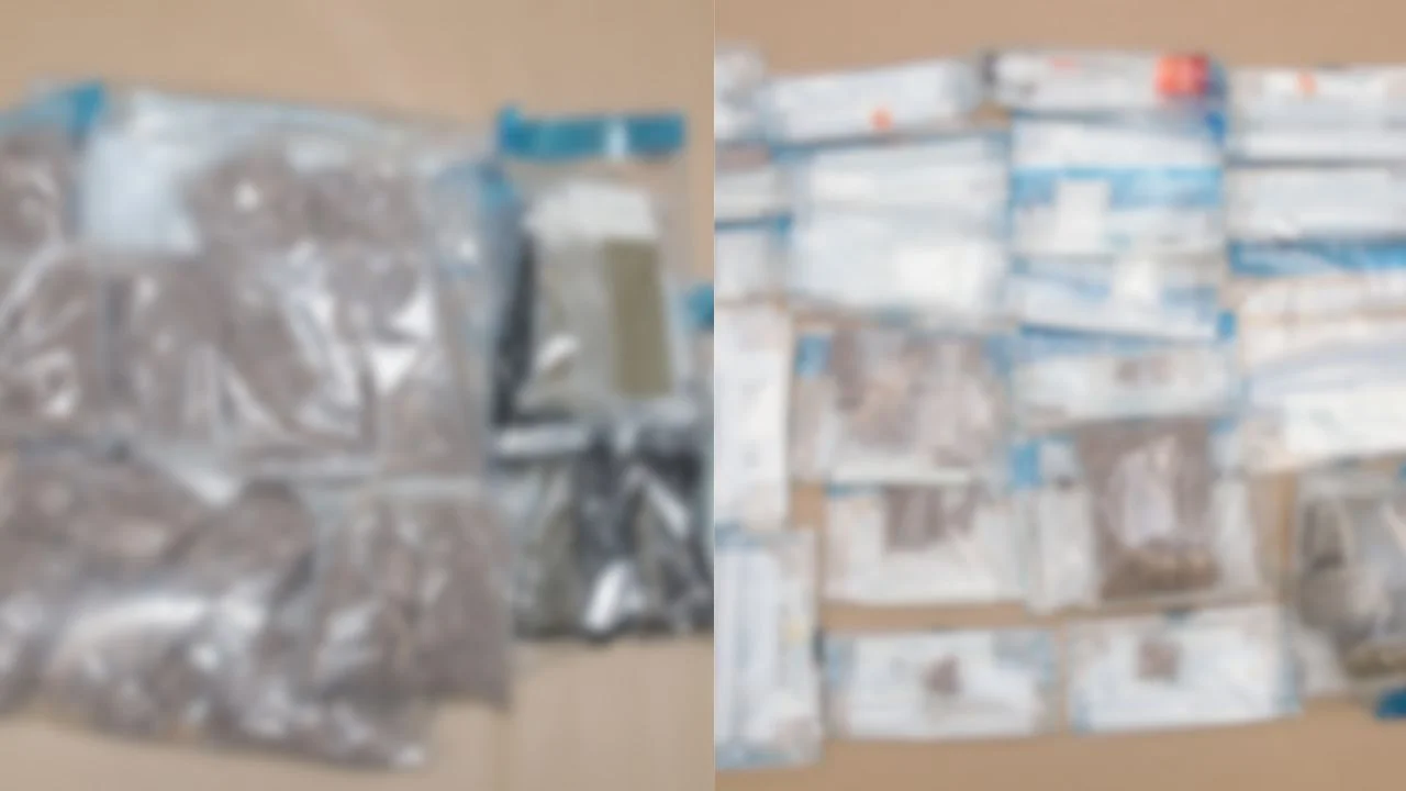 Singapore drug bust: CNB seizes over S$1 million worth of heroin, Ice and cannabis at Tuas Checkpoint
