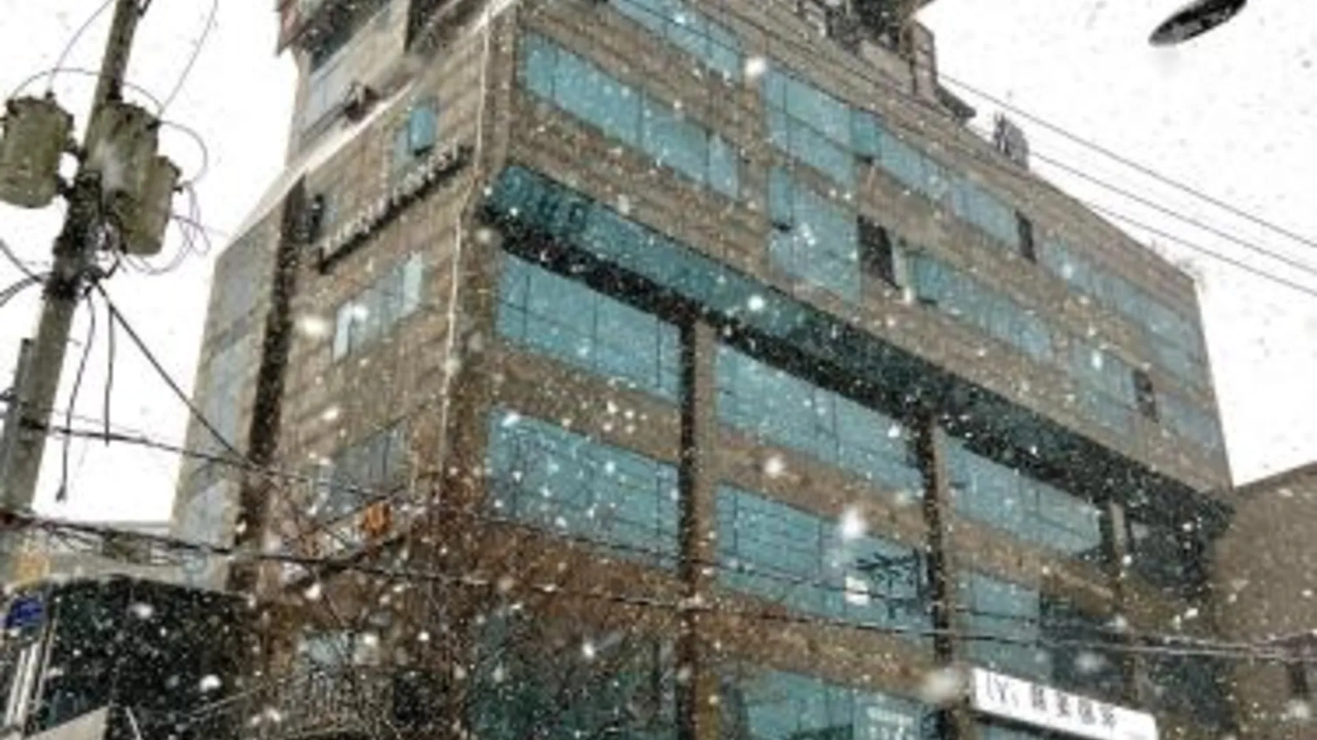 서울 남산 포레스트 게스트하우스 2성급 호텔 외관