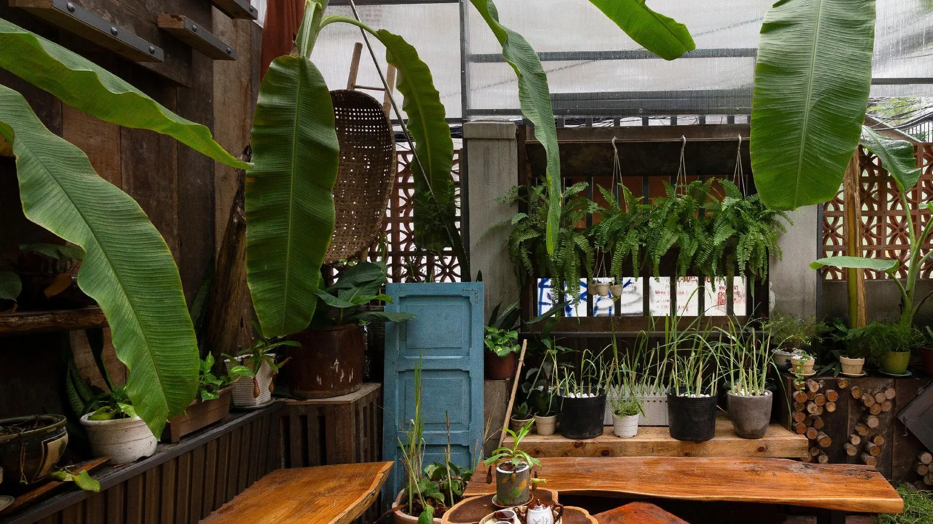 호치민 쿠쿠 홈스테드 I - 홈스테이 앤 도미토리 디스트릭트 1 호텔 객실