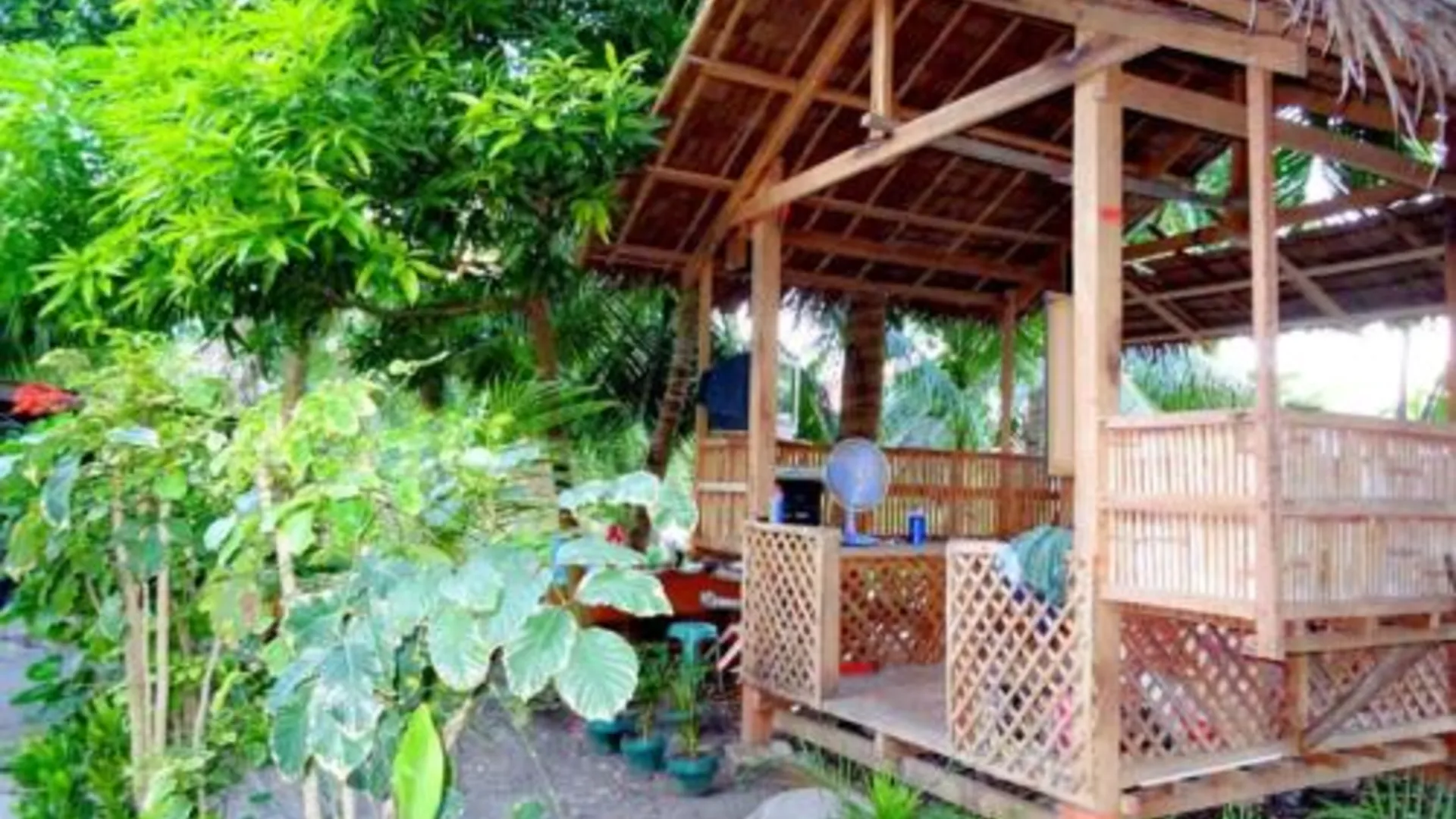 세부 서머 게스트 하우스 4성급 호텔 외관