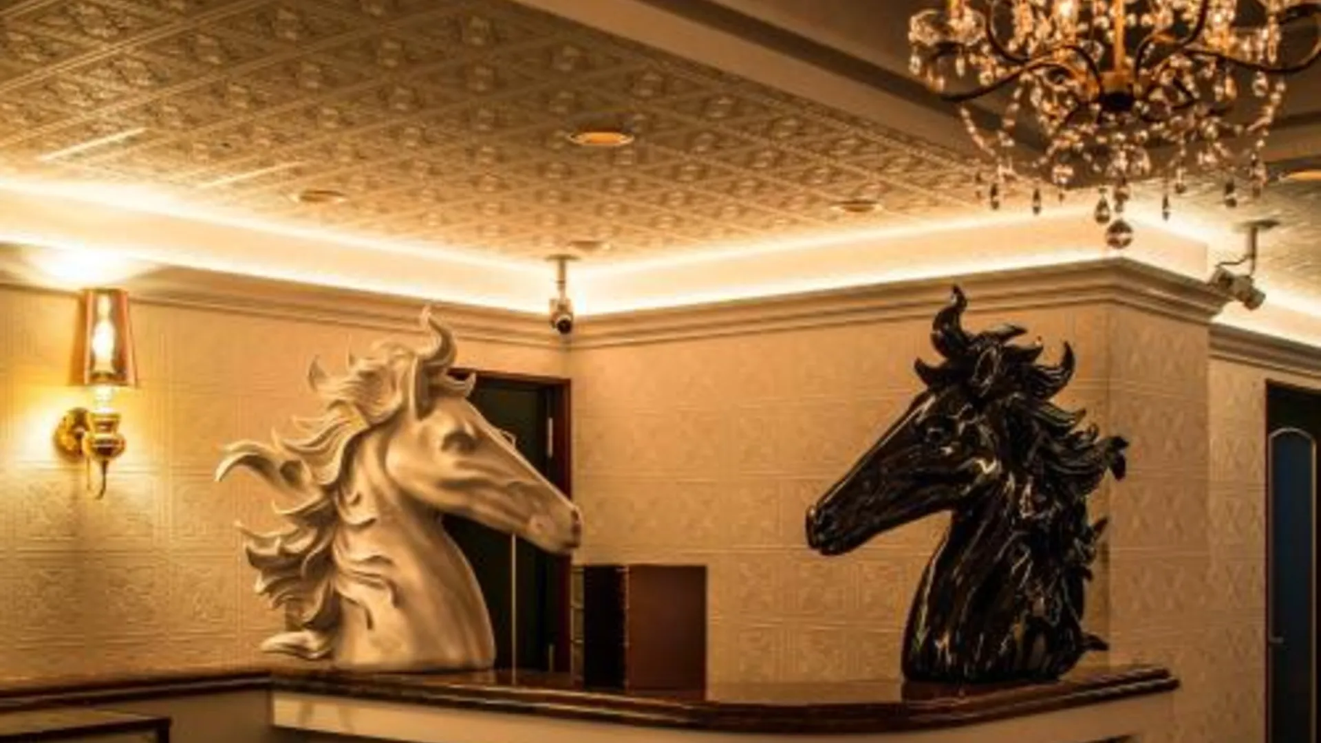 오사카 HOTEL FIVE plus -Adult Only- 3성급 호텔 수영장