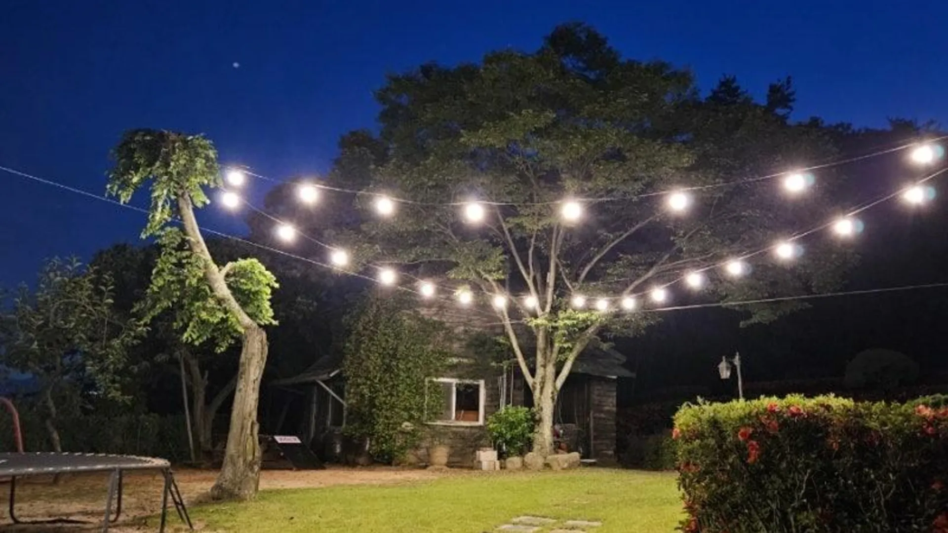 경주 경주 베니아펜션 1성급 게스트하우스 수영장