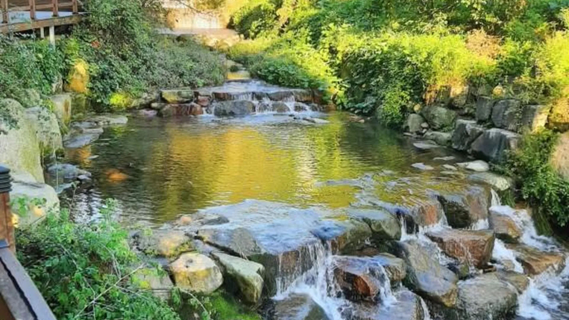 전주 장성 숲향펜션 2성급 게스트하우스 레스토랑