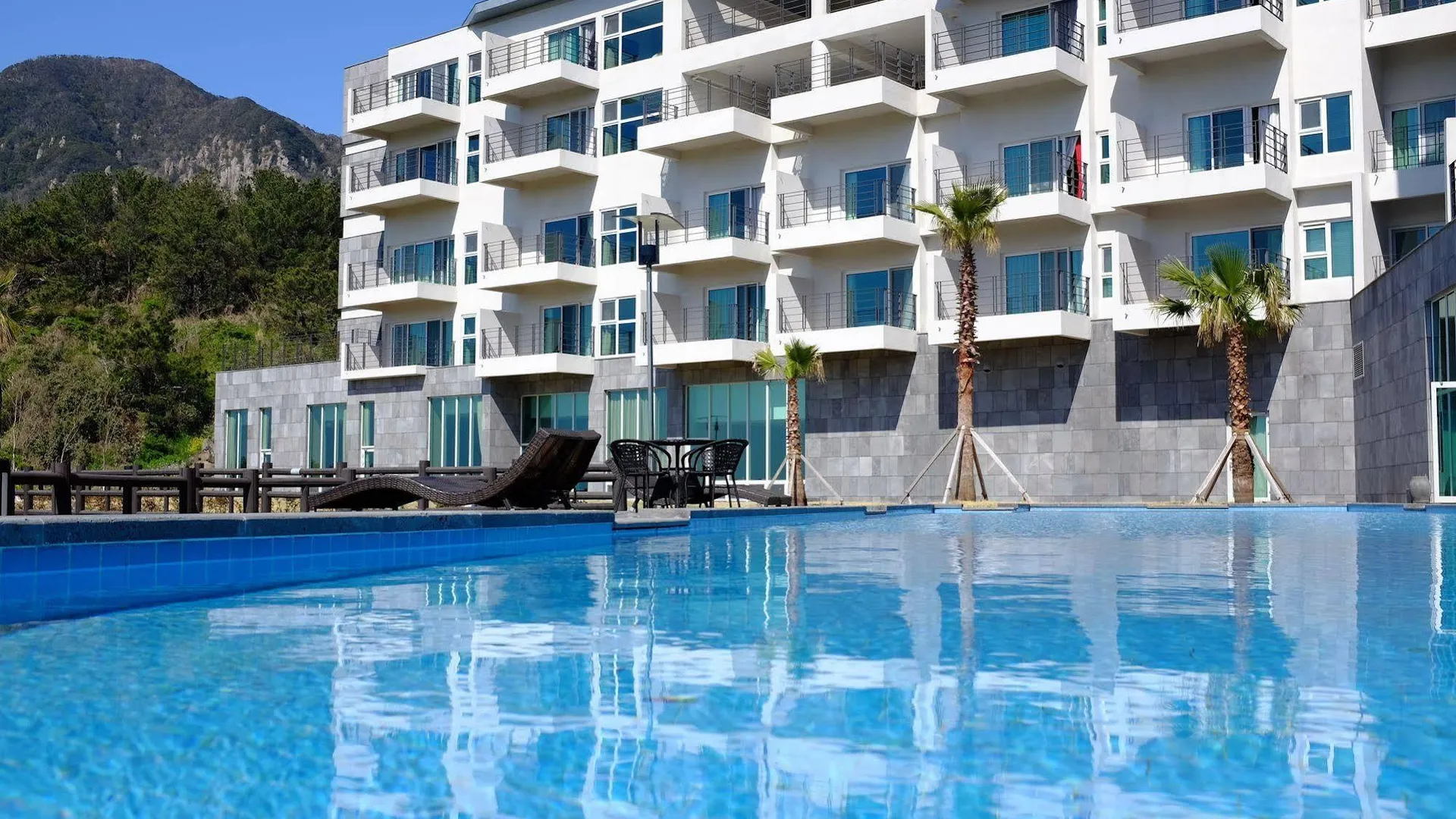 제주 와이 리조트 제주 3성급 호텔 스위트룸