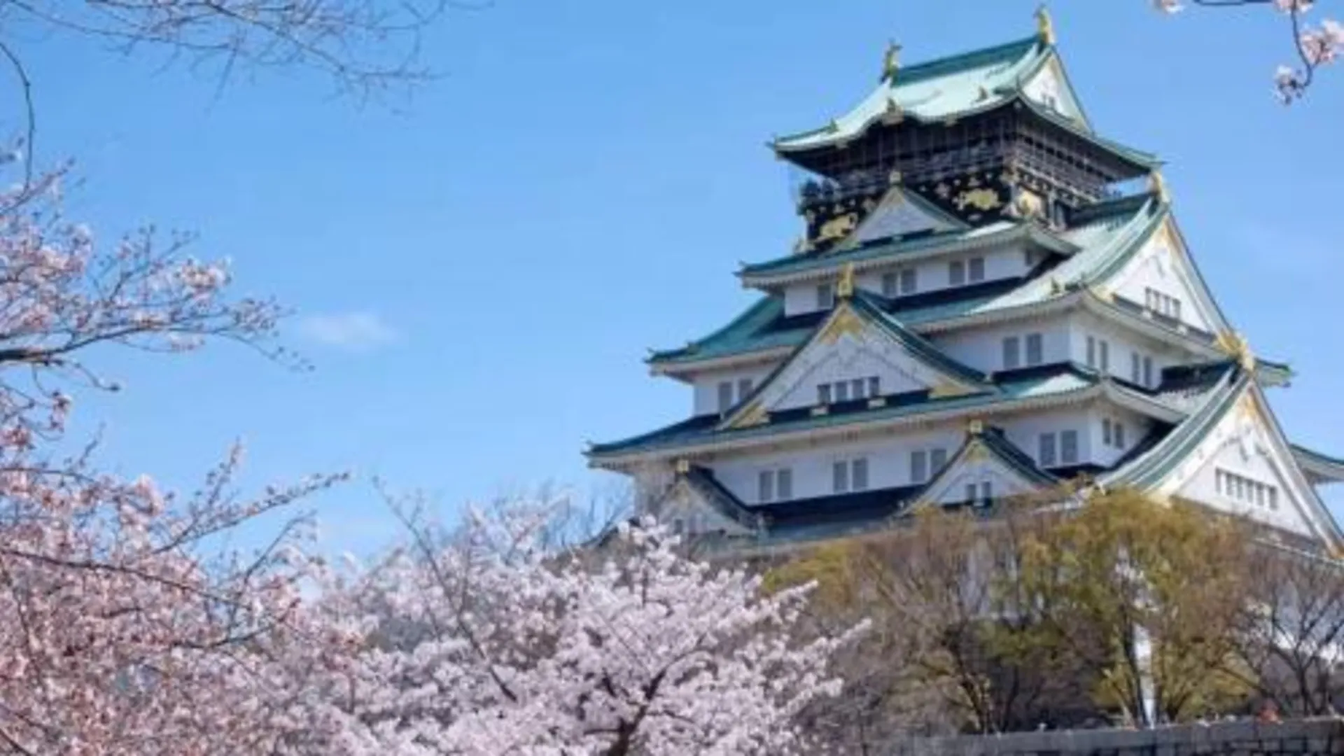 오사카 Apartment Yunagi 2성급 게스트하우스 부대시설