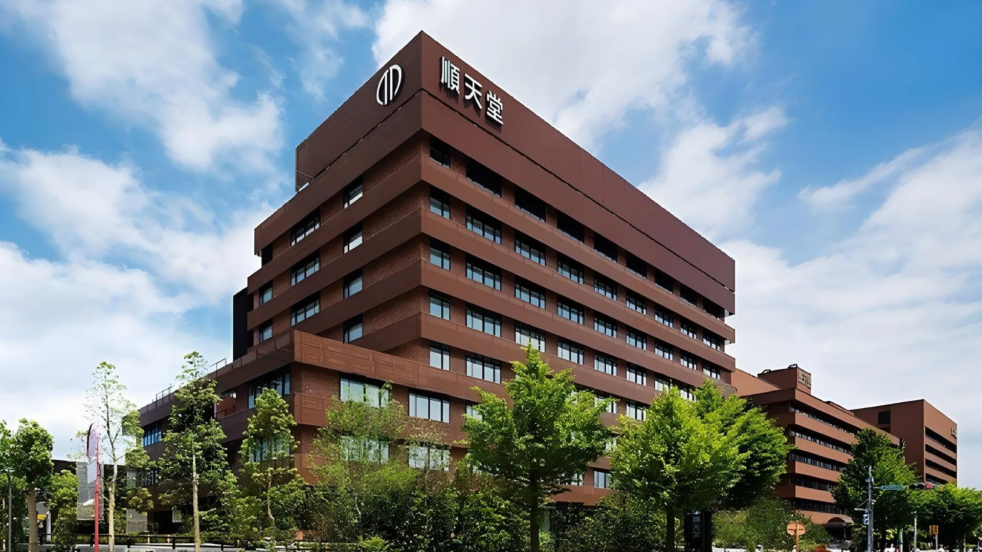 도쿄 / 동경 베이 호텔 우라야스 에키마에 3성급 호텔 스위트룸